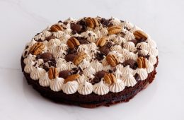 chocolate_pecan_and_praline_cake2-s