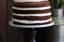 twice-chocolate-8-layer-cake2-s