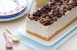 peanut_butter_chocolate_ice_cream_cake2-s