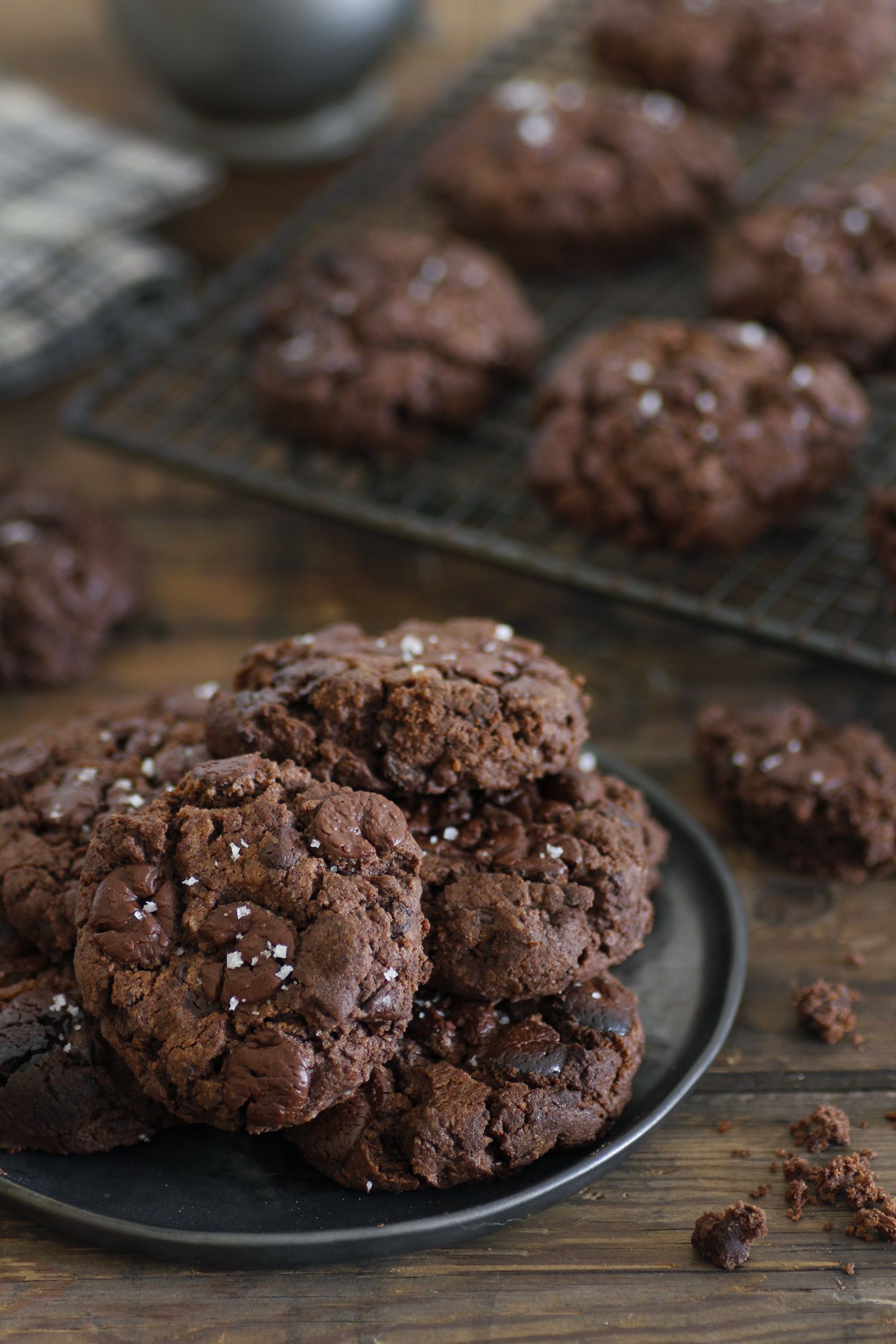 Double Chocolate Peanut Butter Cookies