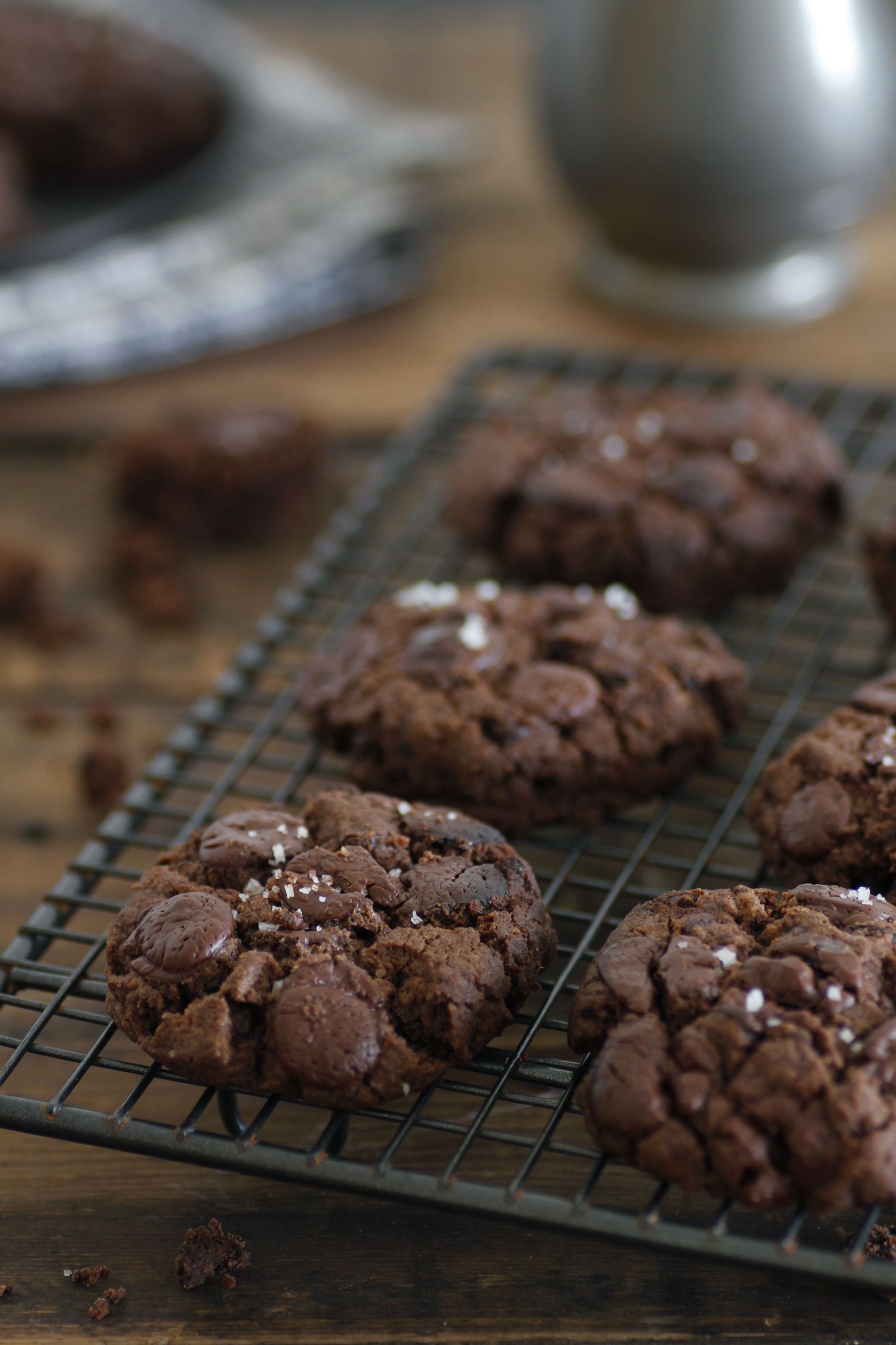 Double Chocolate Peanut Butter Cookies