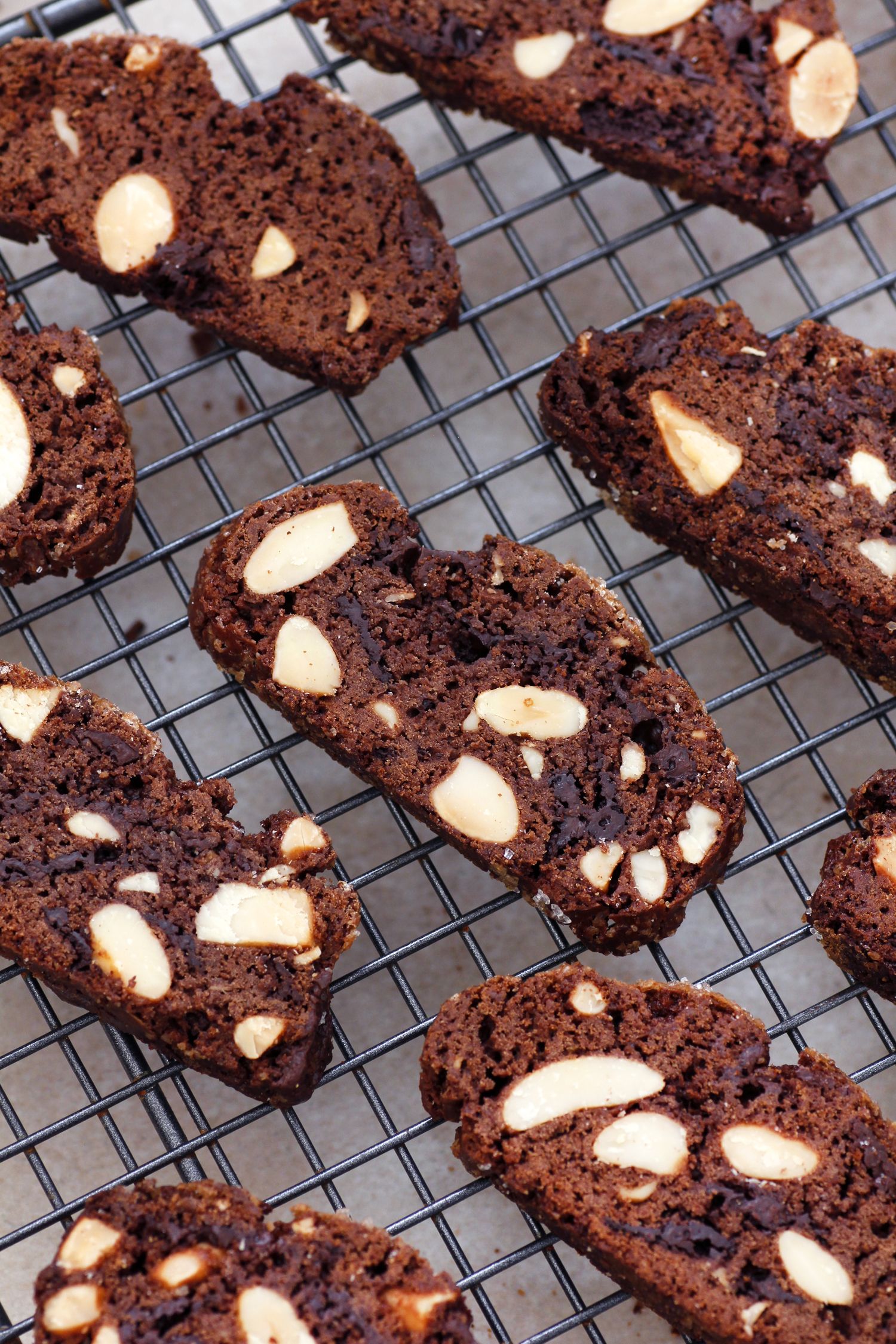 Chocolate Almond Biscotti | Lil&amp;#39; Cookie