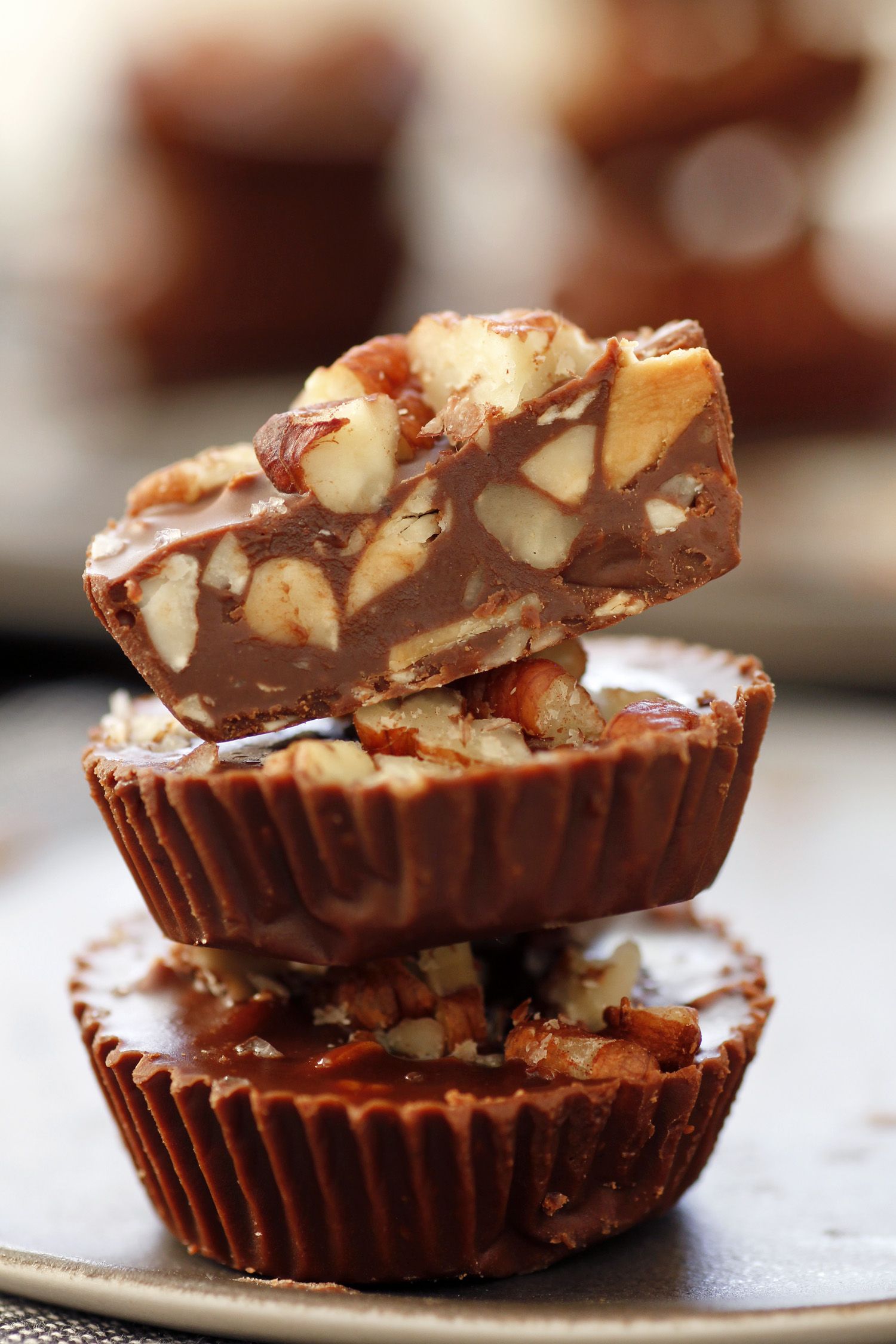 4 Ingredients Peanut Butter Chocolate Bites