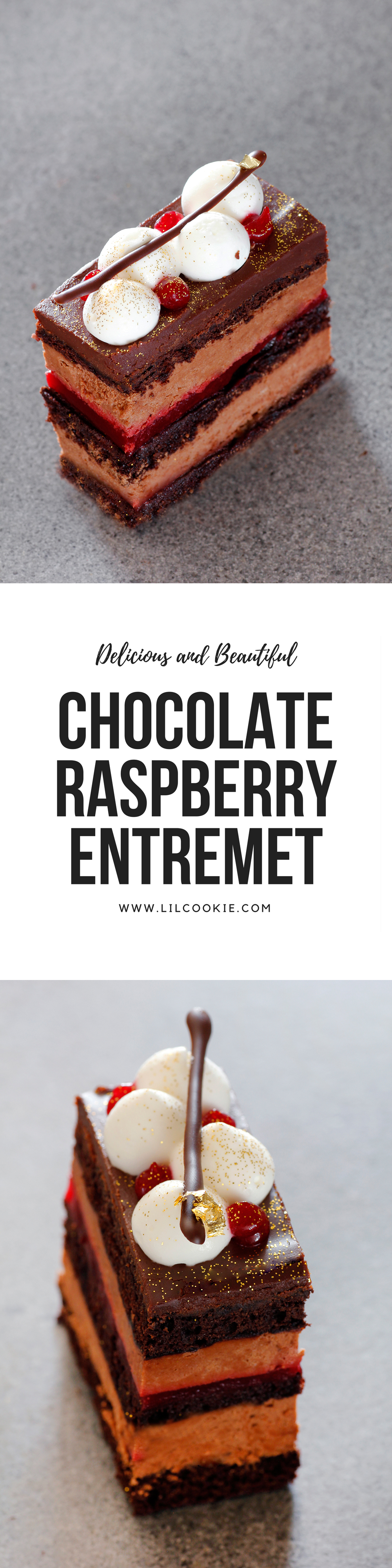 Chocolate Raspberry Entremet