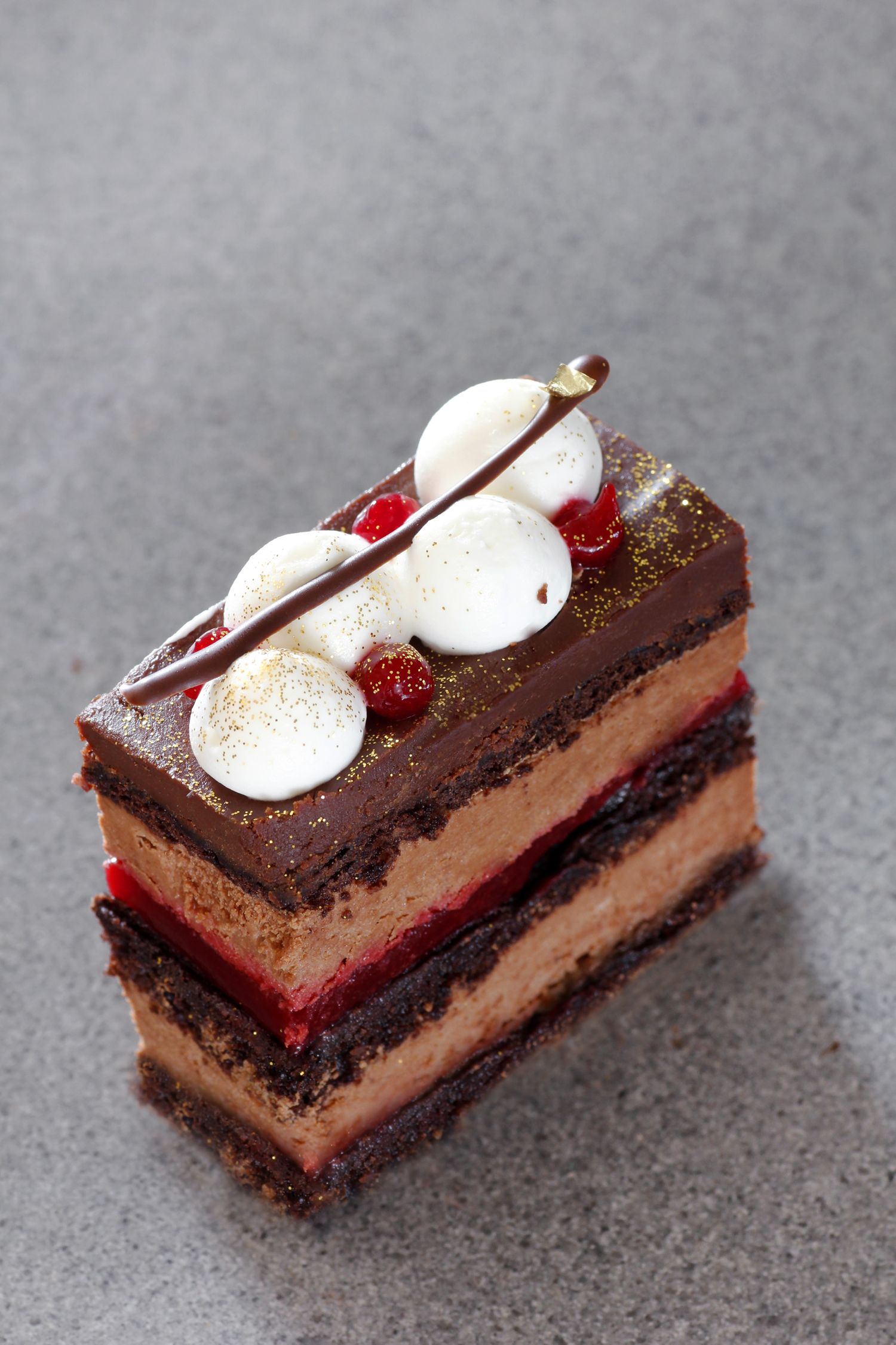 Chocolate Raspberry Entremet