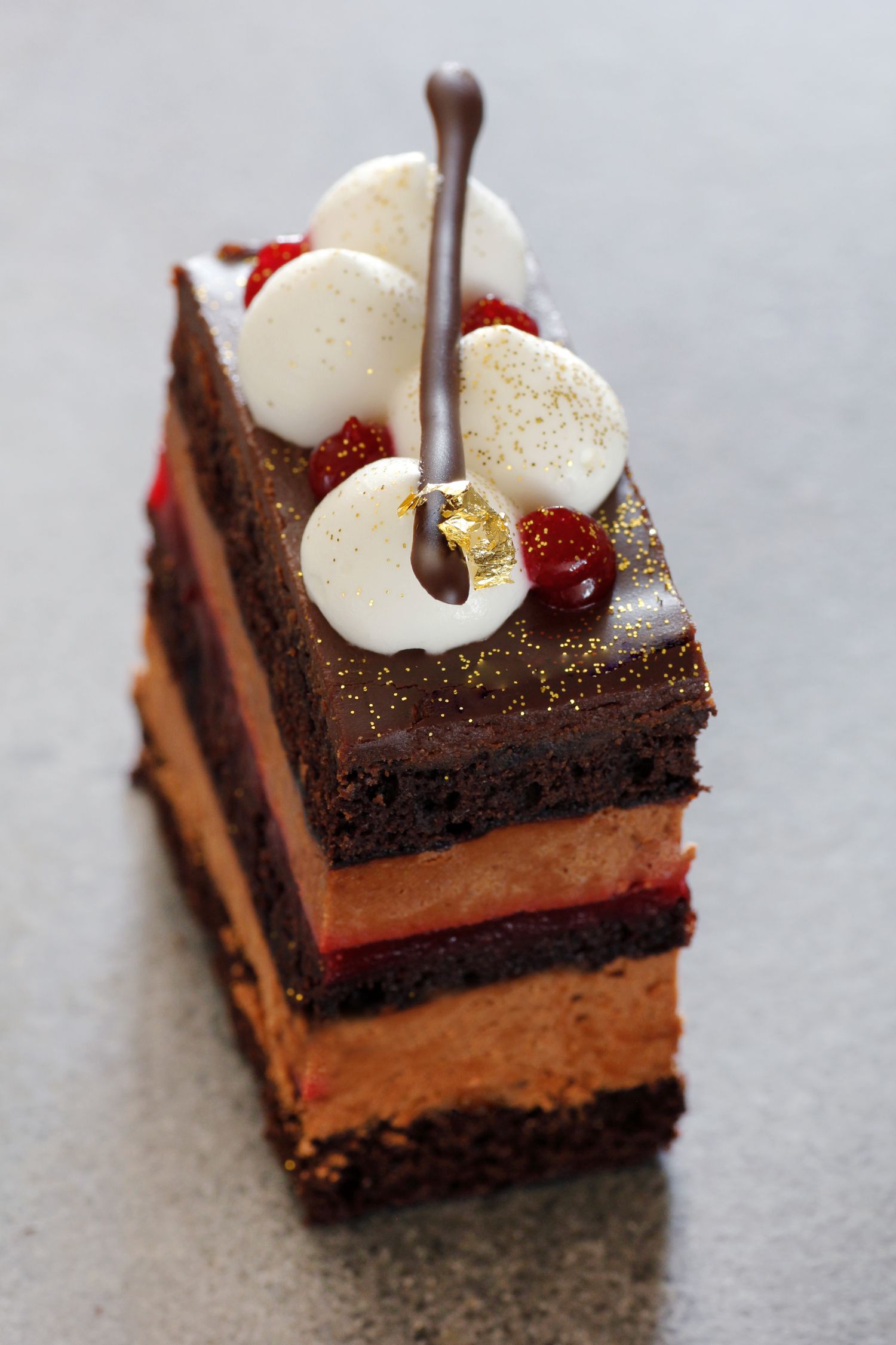 Chocolate Raspberry Entremet