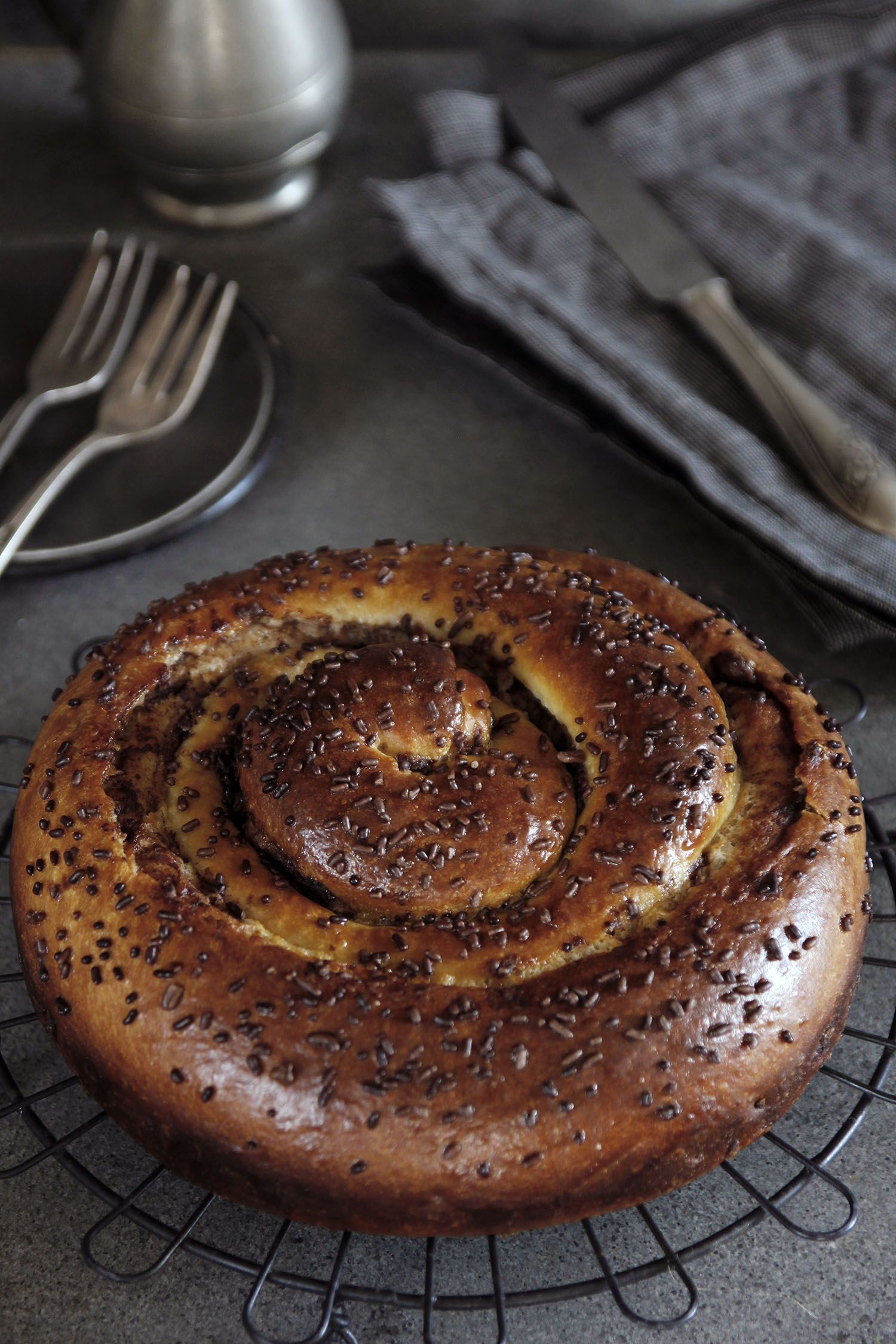 Spiral-Shaped Double Chocolate Babka