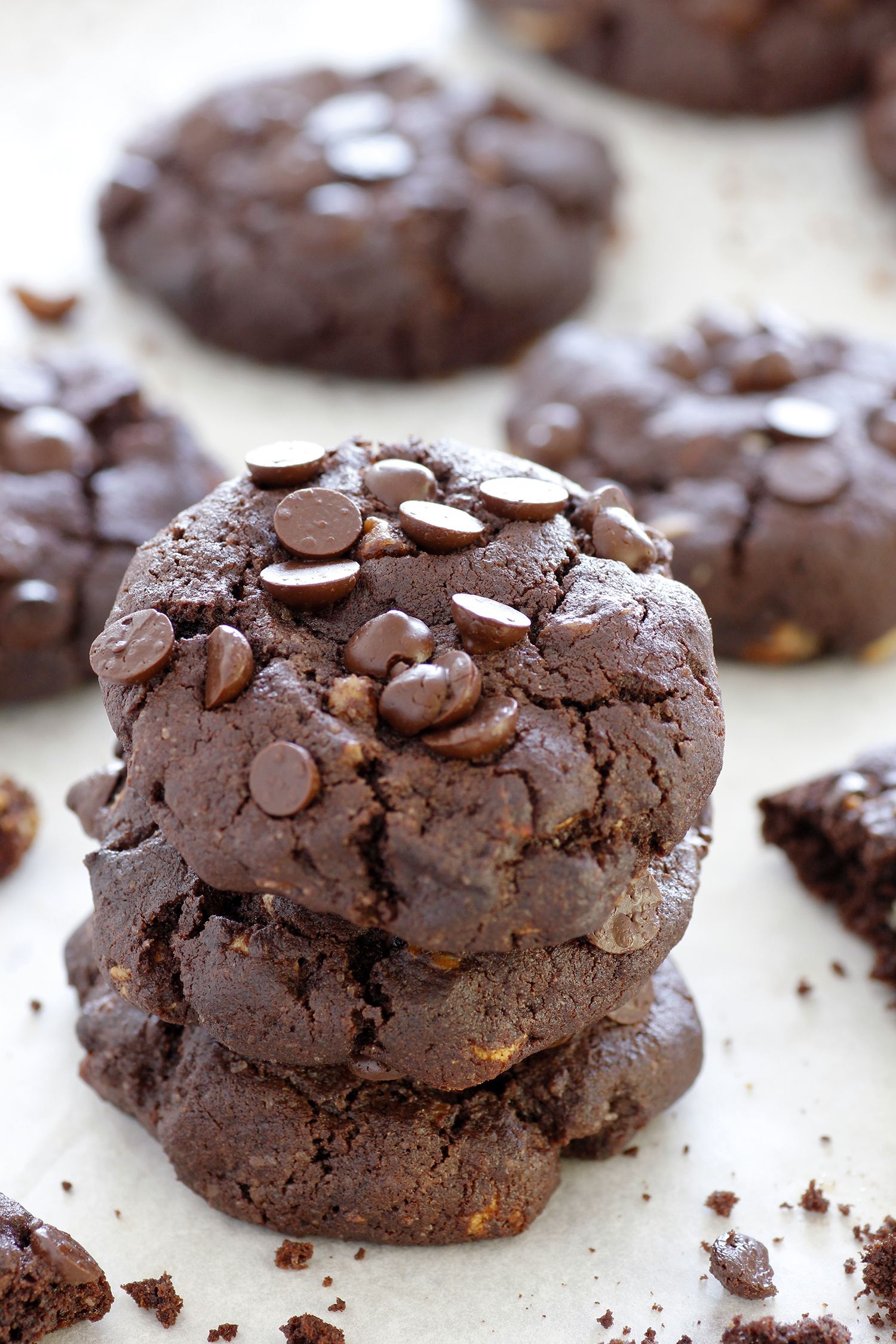 עוגיות דאבל שוקולד צ'יפס | צילום: נטלי לוין