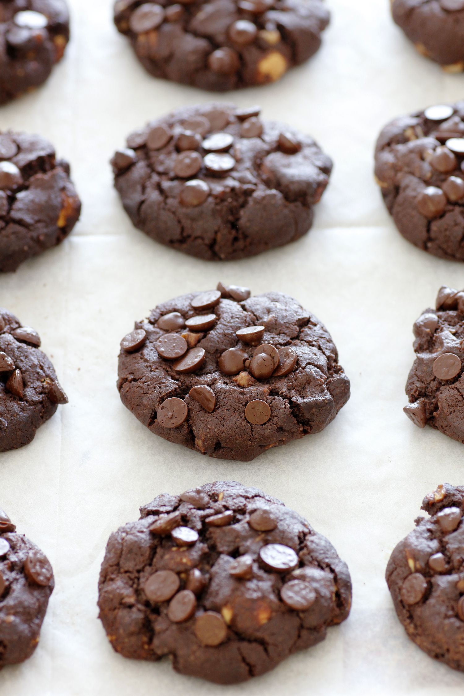 Double Chocolate Chip Cookies